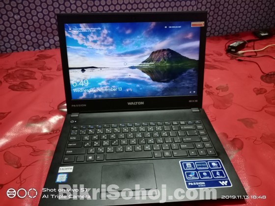 Walton PASSION BX3800